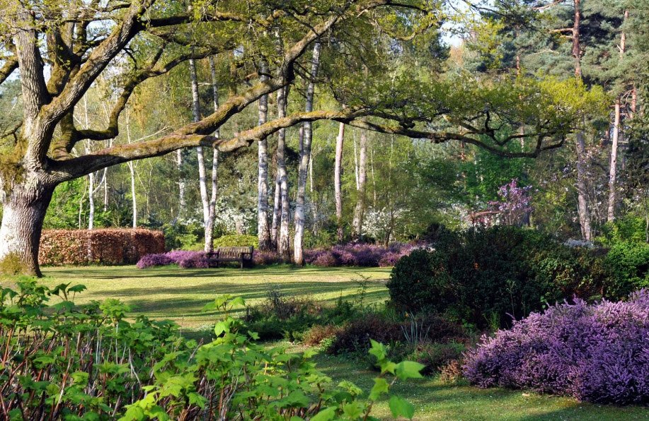 Arboretum de Combe Noire , , France